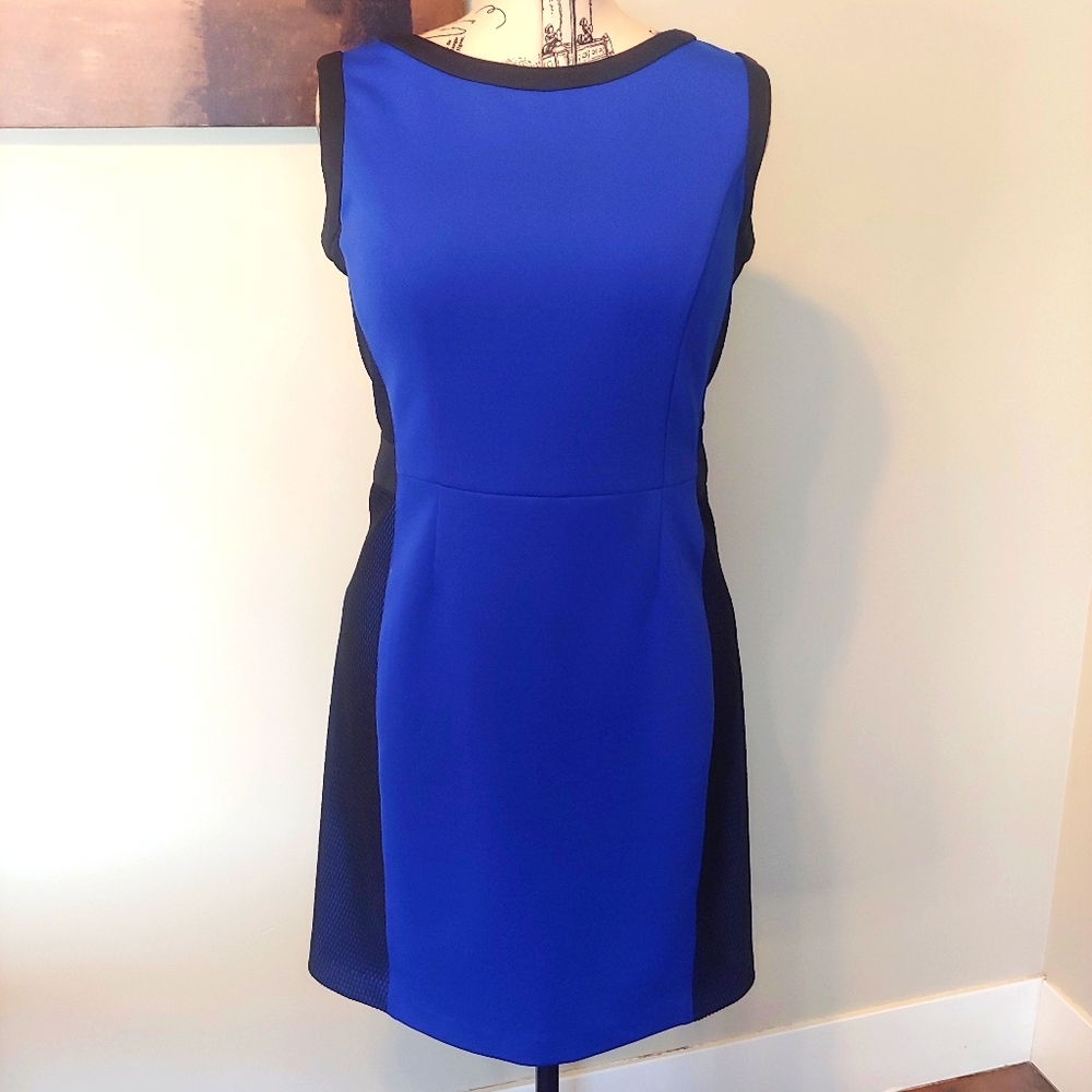 ✨️Jessica Blue & Black Mesh Detail Dress sz 14